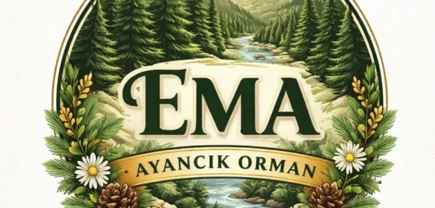 Ema Ayancık orman